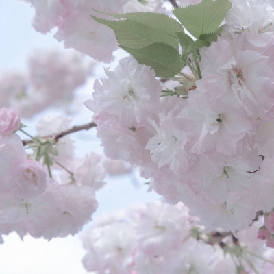 龙湾FurryQQ群介绍